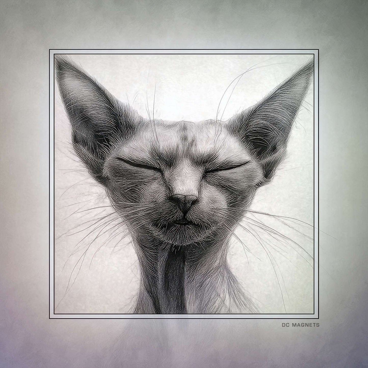 Snoozing Feline