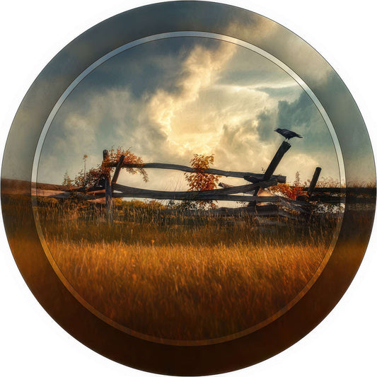 RP0009_raven-on-a-fence Photo Magnet