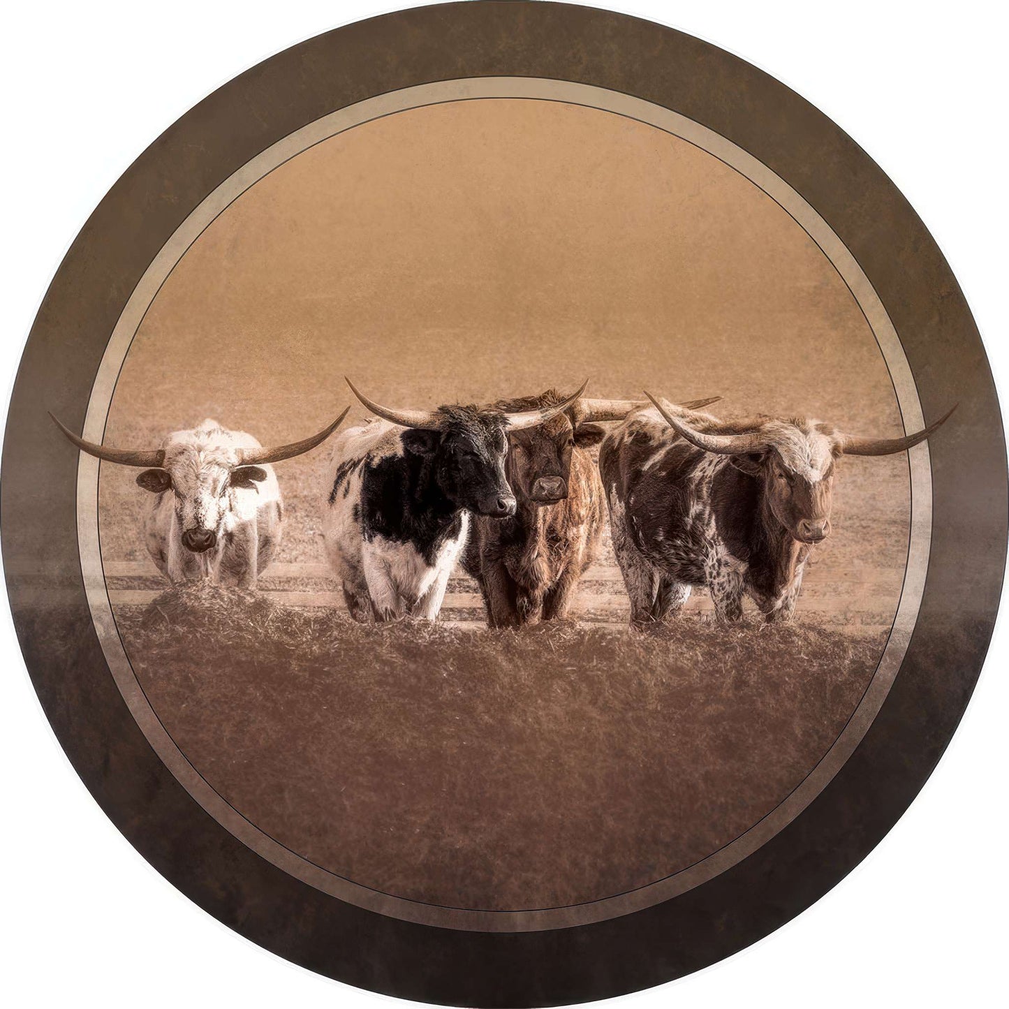 RP0013_longhorn-scrutiny Photo Magnet