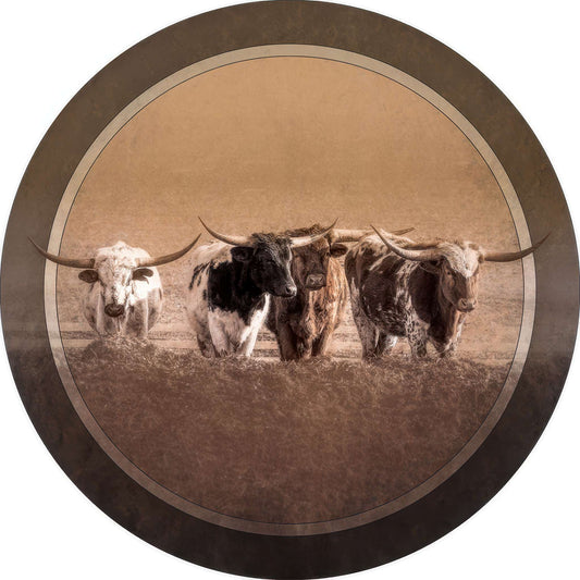 RP0013_longhorn-scrutiny Photo Magnet