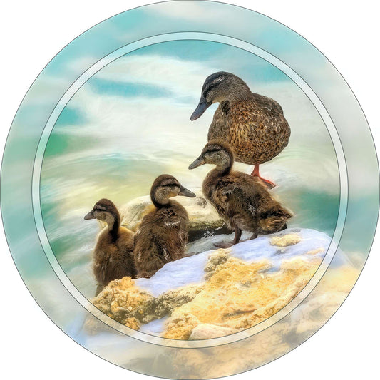 RP0018_ducklings Photo Magnet