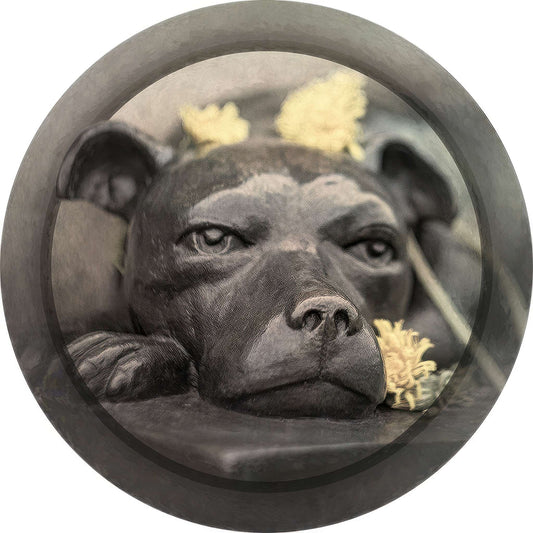 RP0041_Sallie-Circle Photo Magnet