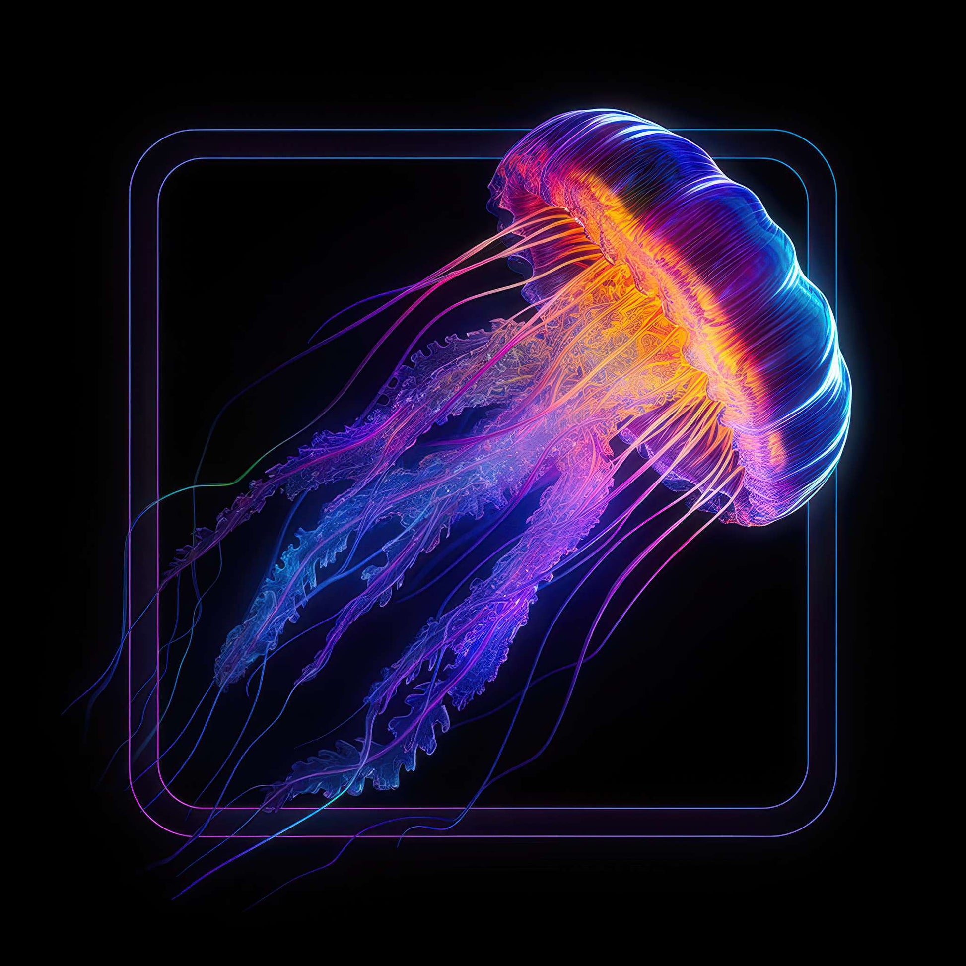 Jello of the Sea