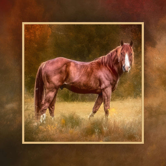 Equestrian-Autumn