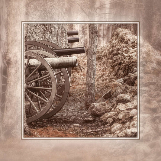 Confederate Firing Line