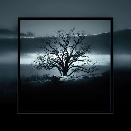 Witness in Winter