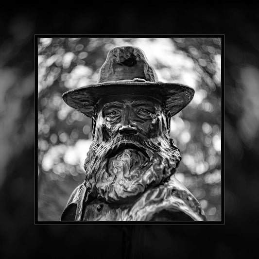 Longstreet Portrait