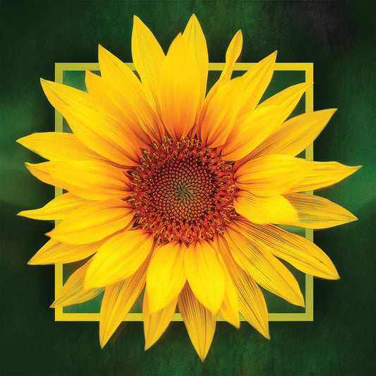 Sunflower Photo Magnet