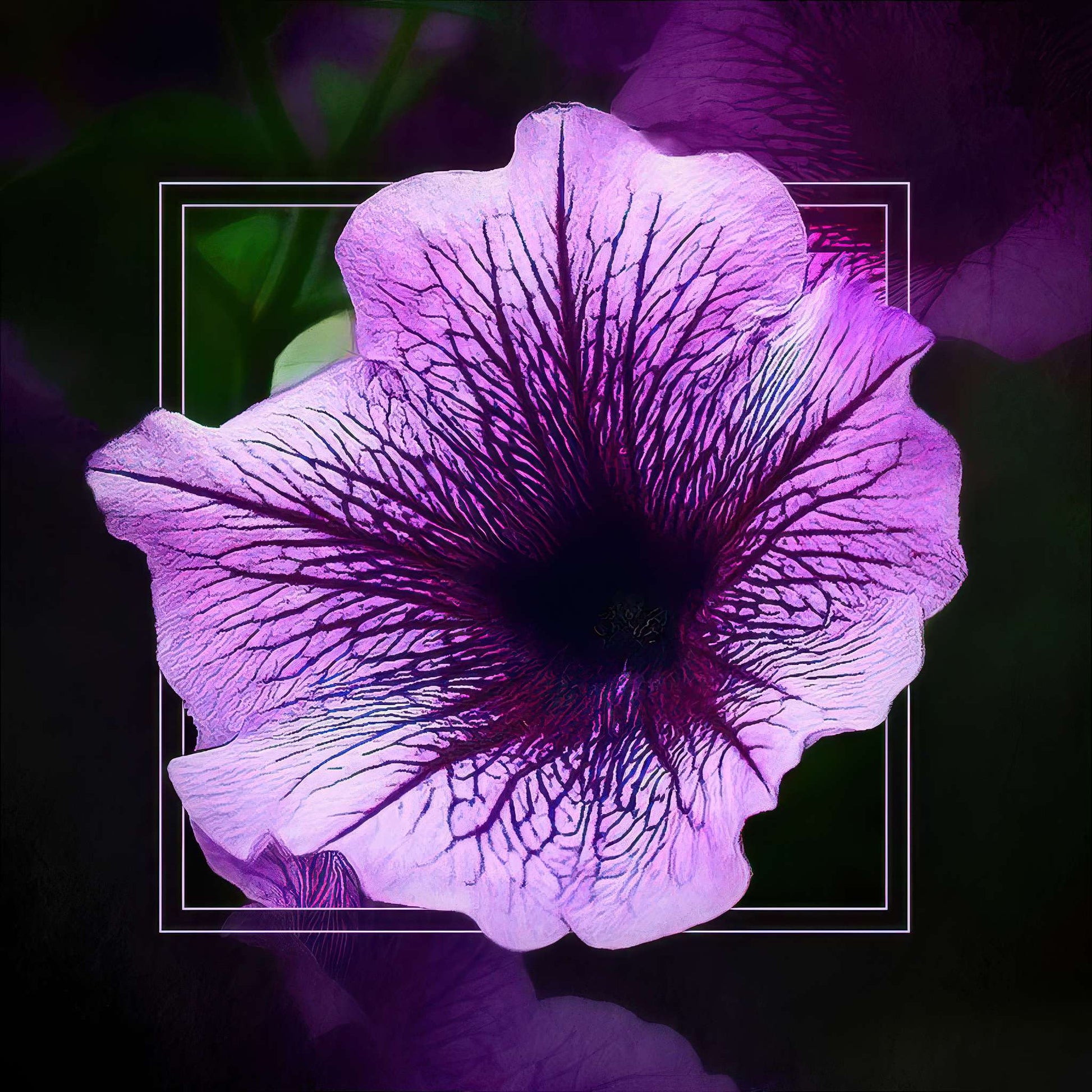 Purple Petals Photo Magnet