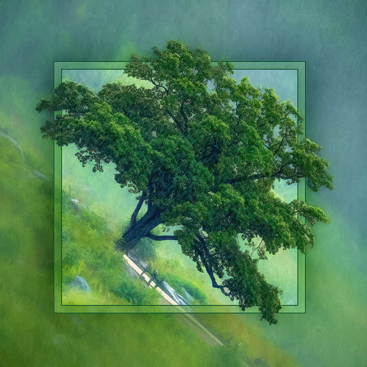 Green Witness Photo Magnet
