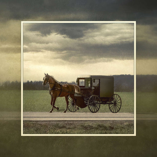 Heading Home Before the Storm Photo Magnet