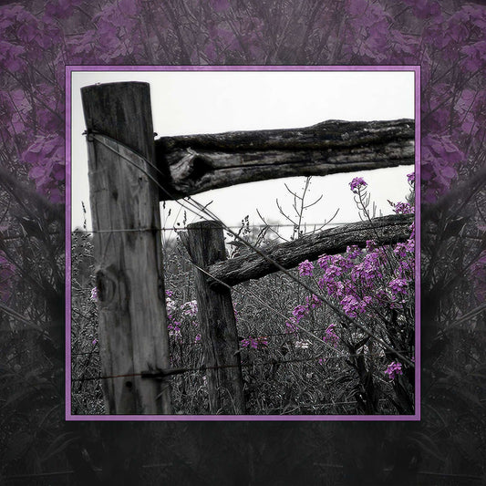 Purple Passion Photo Magnet