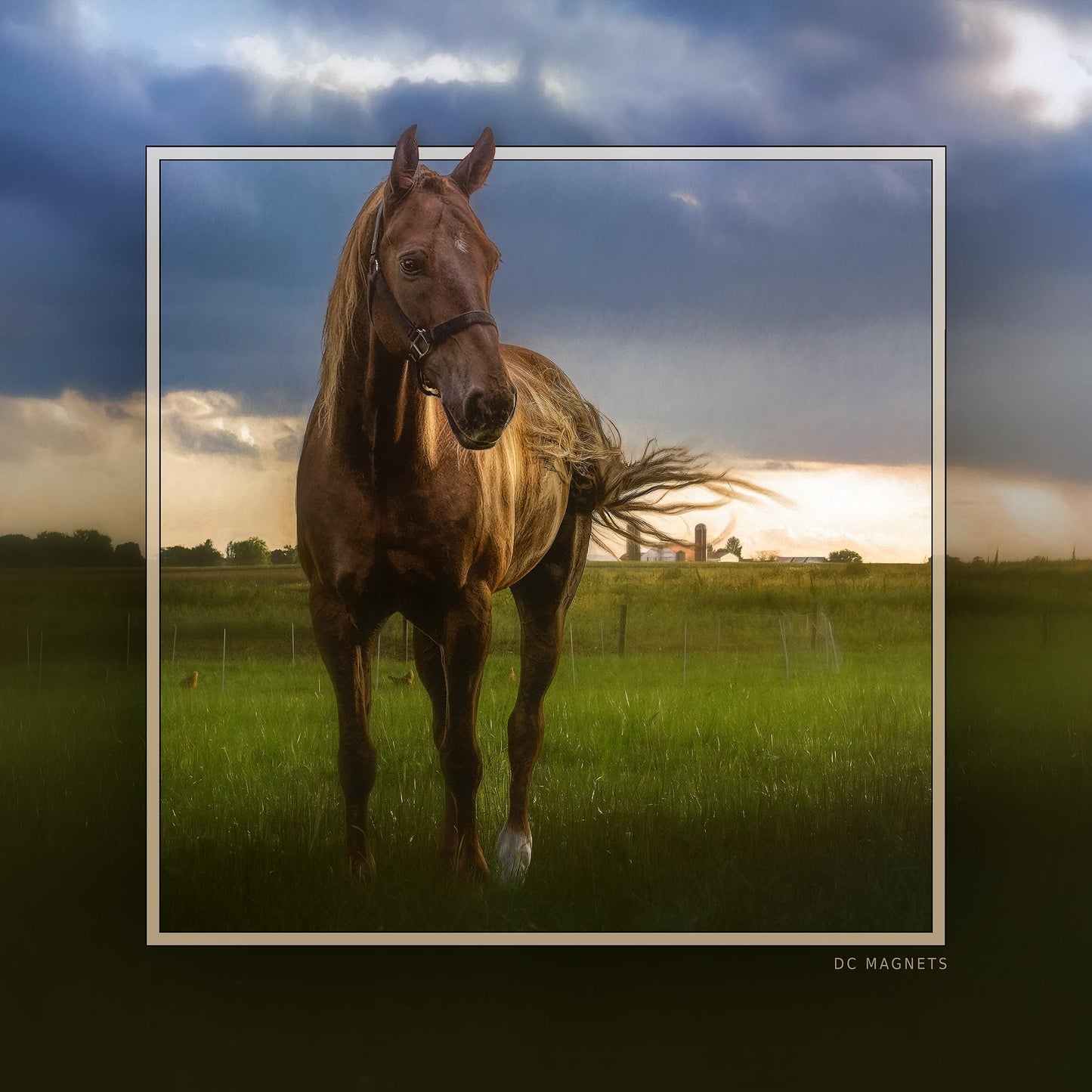 Horsing-Around 3 Inch Metal Graphic Magnet